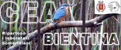 CEA Bientina - Banner