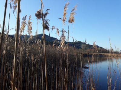 immagine Bosco Tanali - Riserva Naturale Regionale