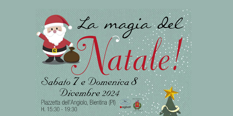 La Magina del Natale - Banner