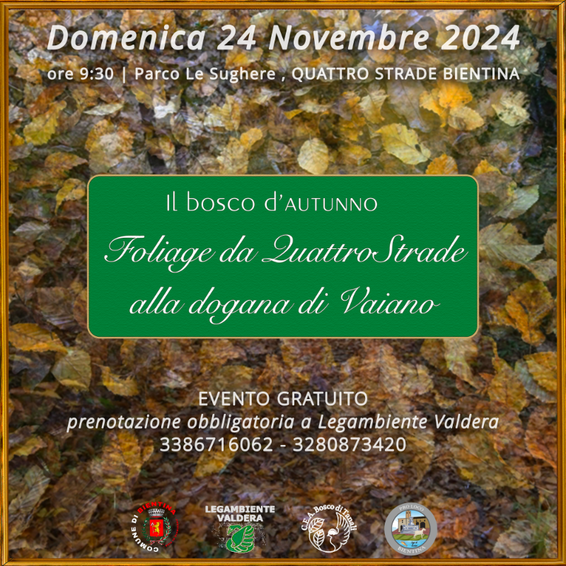 Foliage volantino 2024