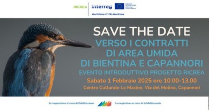 RICREA - Evento 1 Febbraio 2025 - Banner