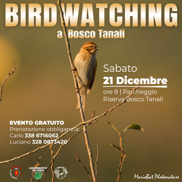 Birdwatching - 21 Dicembre 2024 - Locandina