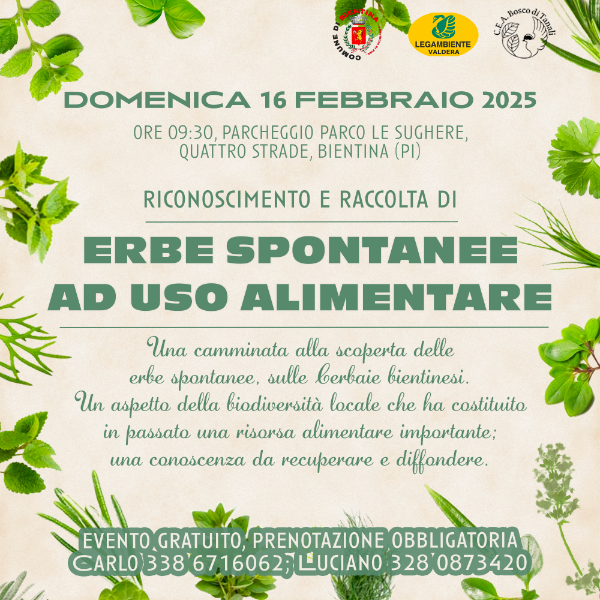 Erbe spontanee ad uso alimentare - 16 Febbraio 2025 - Locandina